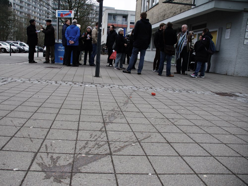 http://www.neu.antifa-kiel.org/wp-content/uploads/import/NIKA/mettenhof1.jpg