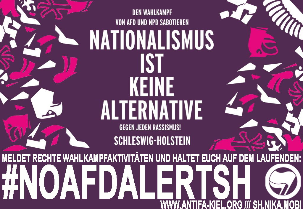 http://www.neu.antifa-kiel.org/wp-content/uploads/import/NIKA/noafdalert.jpg